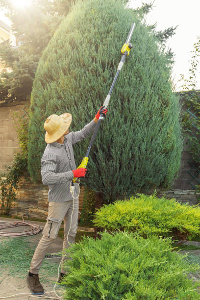 Best Aeration Services  in Baileyton, AL
